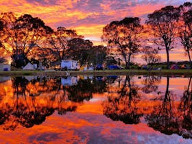 Coonawarra Bush Holiday Park