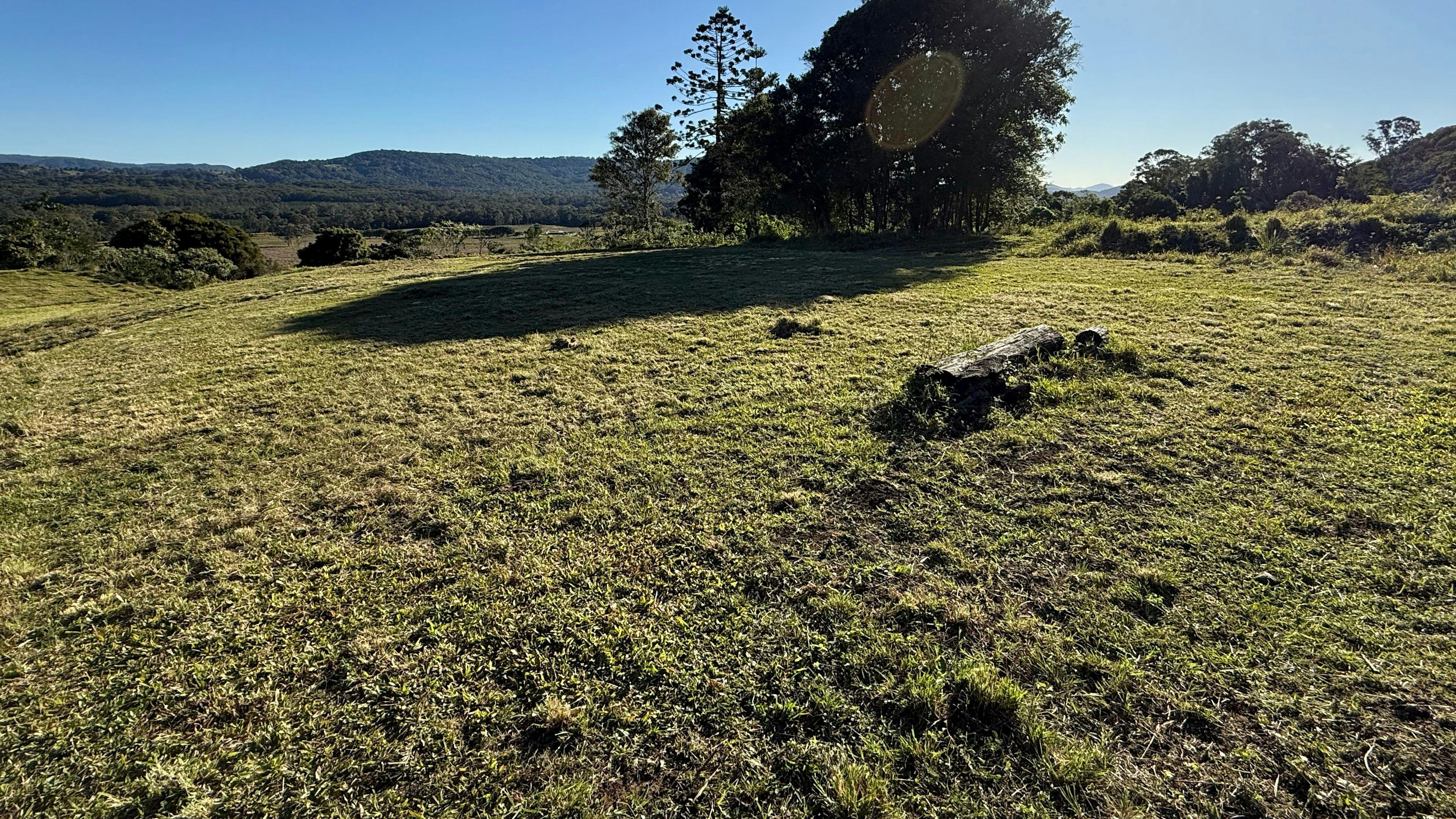 Coondoo Springs