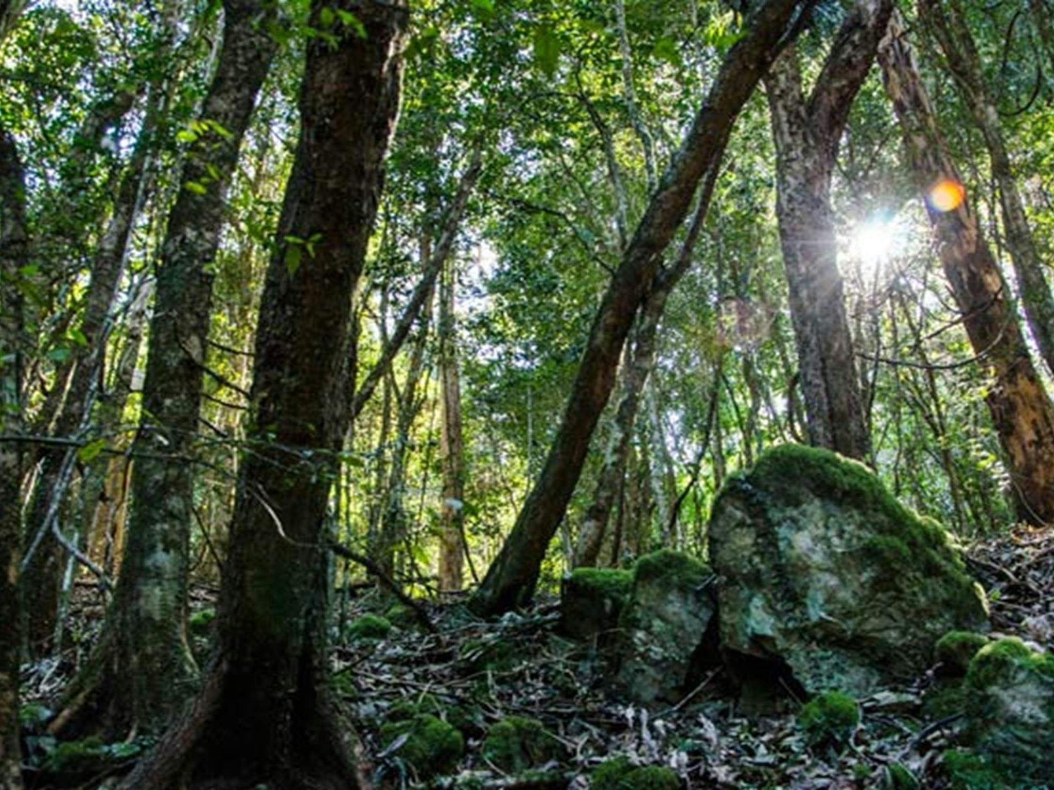 Copeland überragt das staatliche Naturschutzgebiet