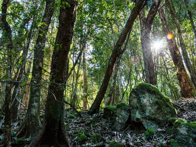 Hidden Treasure trail, Copeland Tops State Conservation Area. Photo: John Spencer.