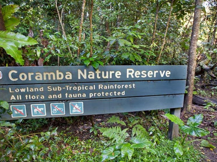 Coramba Nature Reserve. Photo: Robert Cleary &copy; DPIE