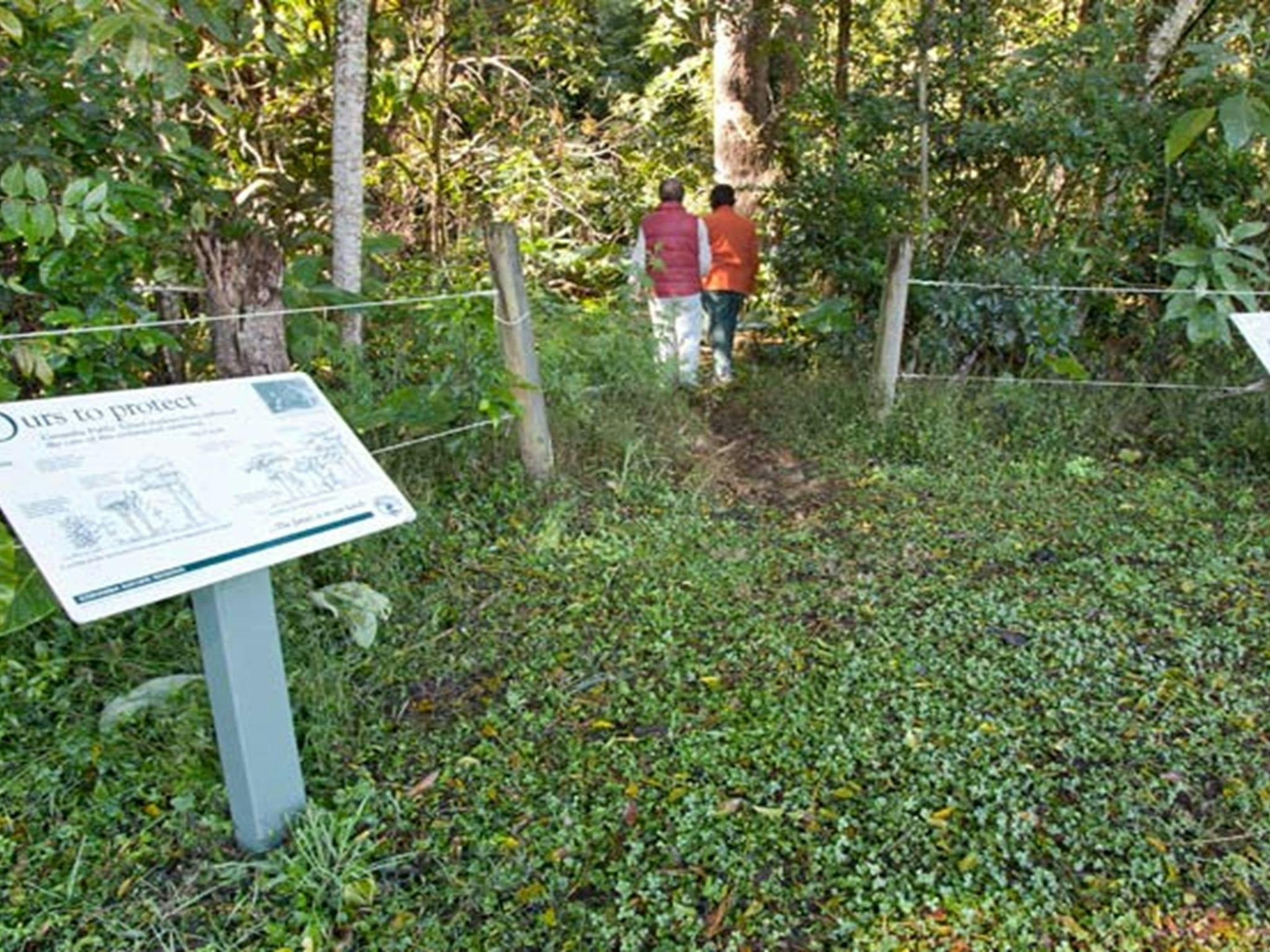 Naturschutzgebiet Coramba. Foto: Robert Cleary © DPIE