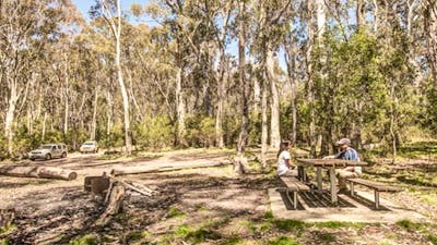 Corree campground, Brindabella National Park. Photo: Murray van der Veer/NSW Government