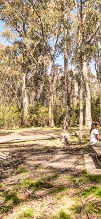 Corree campground, Brindabella National Park. Photo: Murray van der Veer/NSW Government