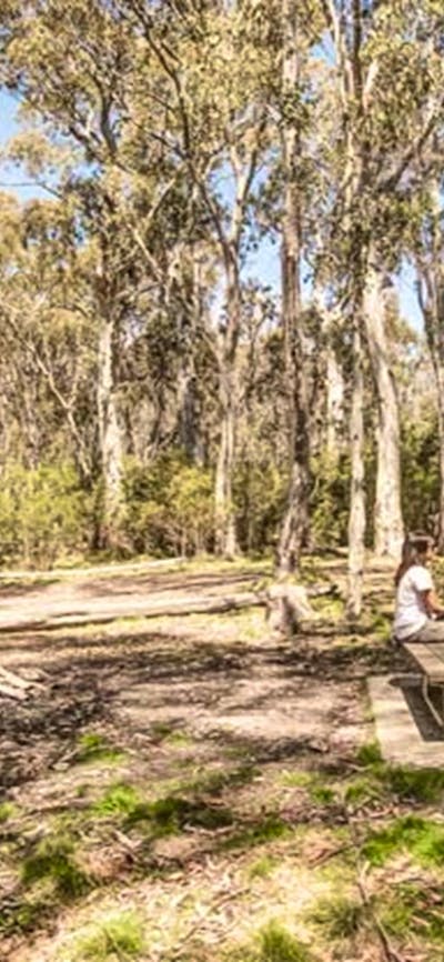 Corree campground, Brindabella National Park. Photo: Murray van der Veer/NSW Government
