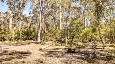 Corree campground, Brindabella National Park. Photo: Murray van der Veer/NSW Government