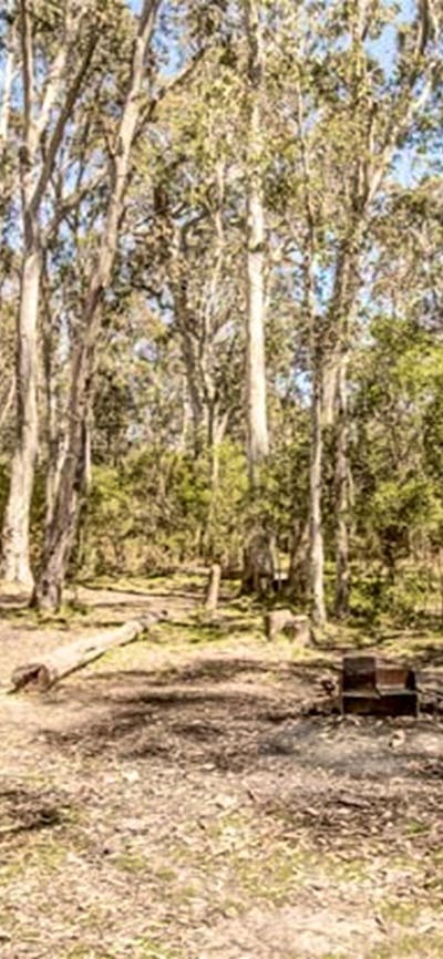 Corree campground, Brindabella National Park. Photo: Murray van der Veer/NSW Government