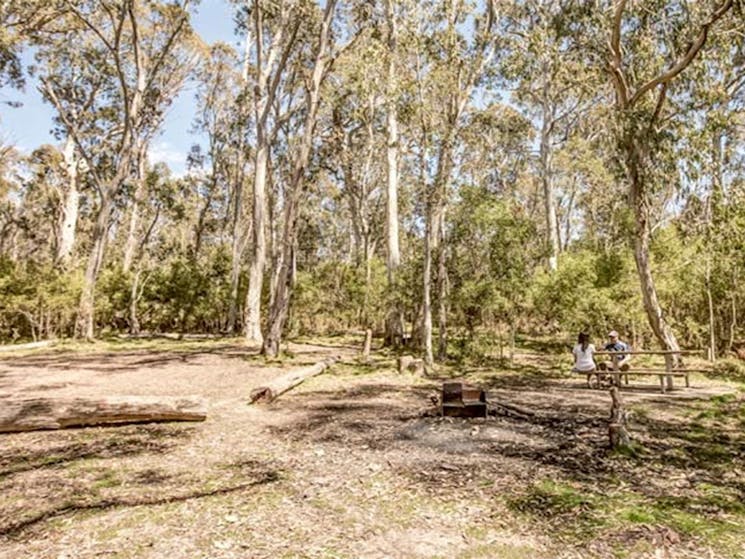 Corree campground, Brindabella National Park. Photo: Murray van der Veer/NSW Government