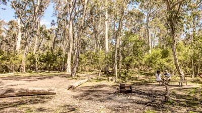 Corree campground, Brindabella National Park. Photo: Murray van der Veer/NSW Government