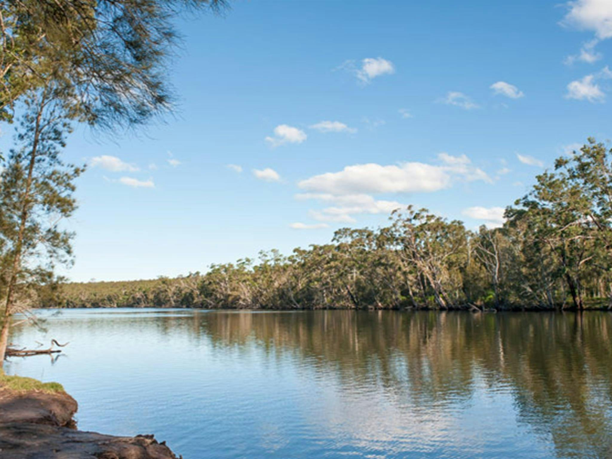 Wandandian Creek im Corramy Regional Park. Foto: Michael van Ewijk &copy; DPIE