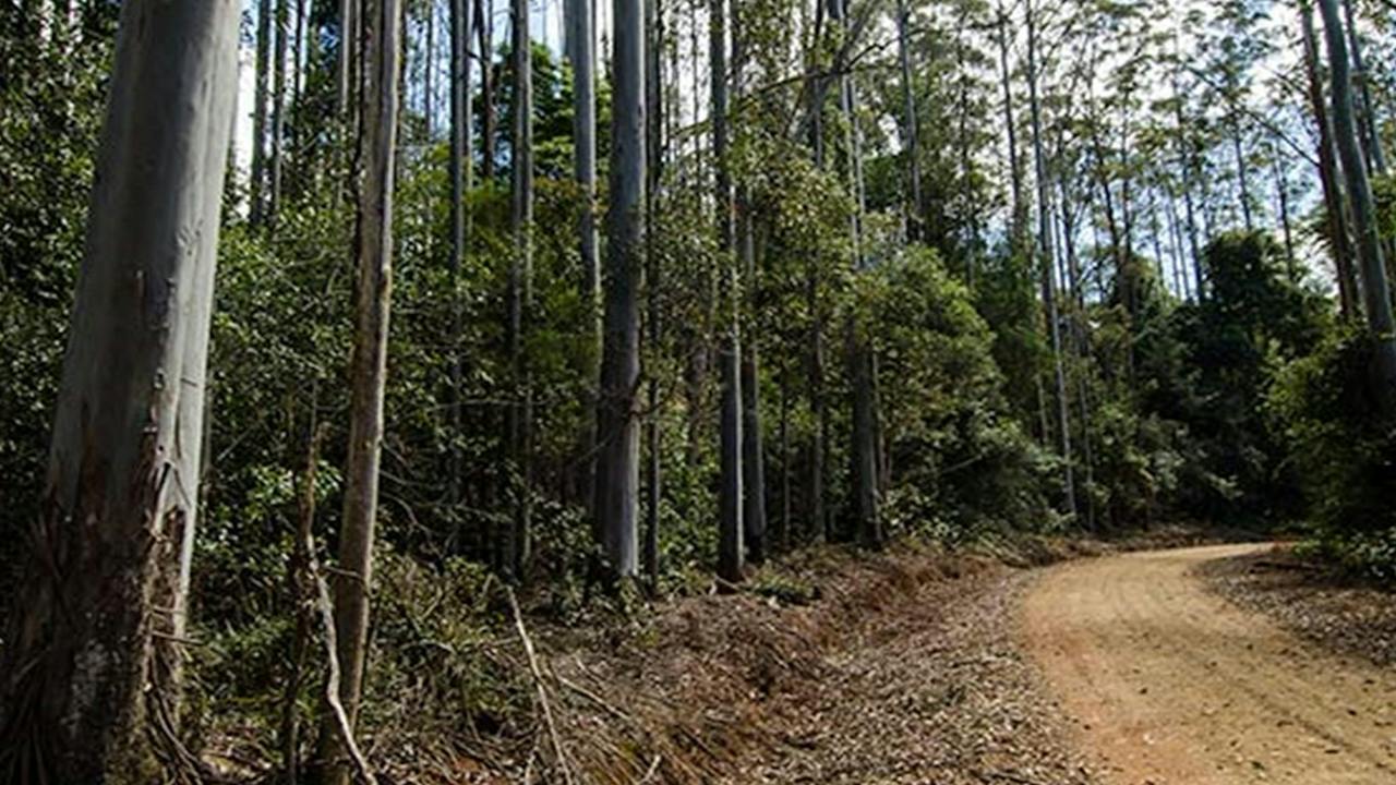 Cottan-Bimbang National Park