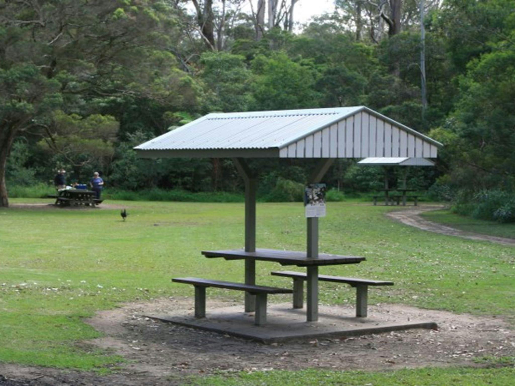 A picnic shelter at Cottonwood Glen picnic area in Lane Cove National Park. Photo: Nathan