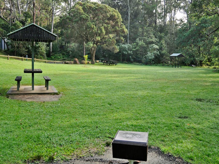 A wide grassy area with picnic table at Cottonwood Glen picnic area, Lane Cove National Park. Photo: