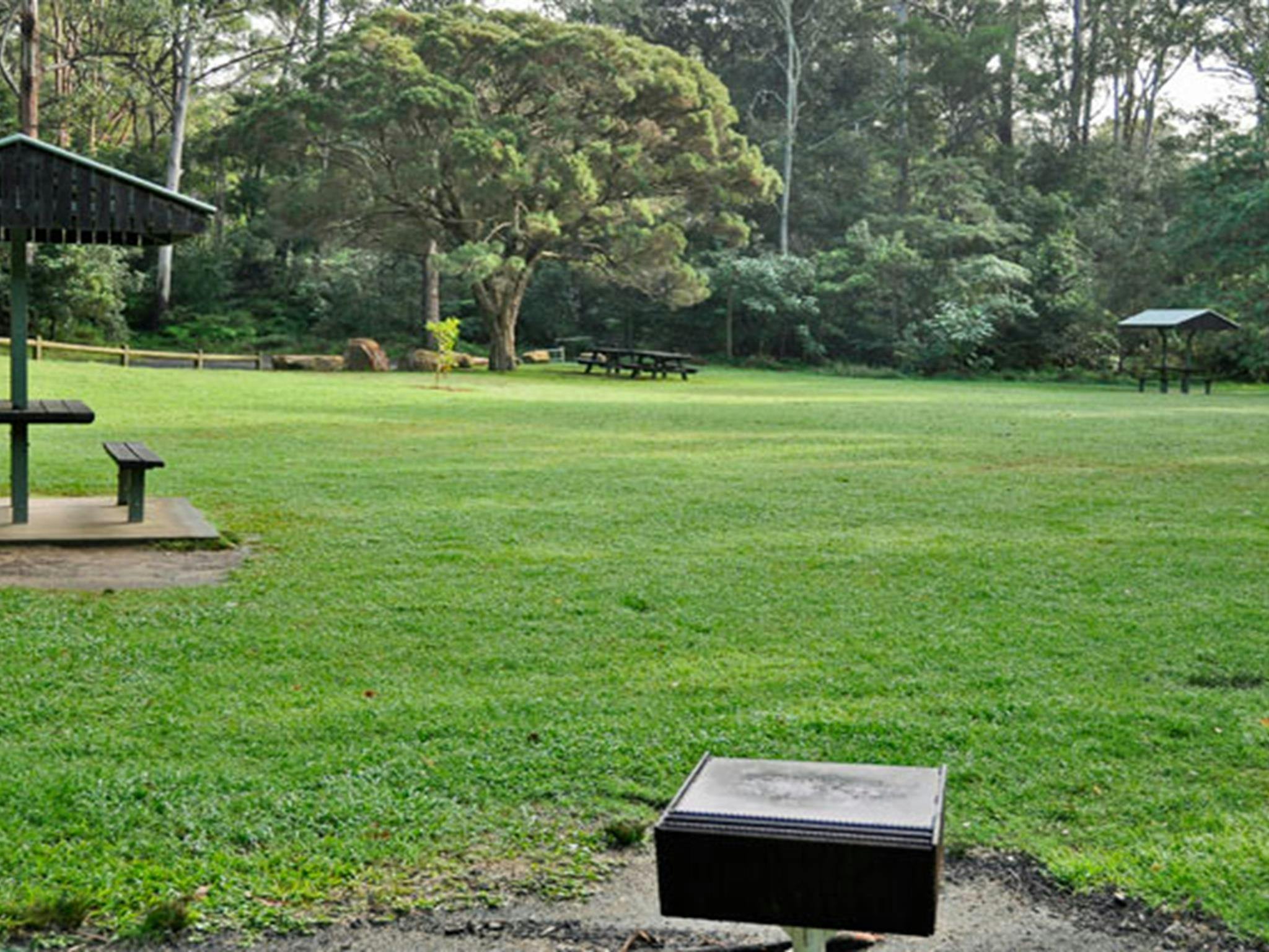 A wide grassy area with picnic table at Cottonwood Glen picnic area, Lane Cove National Park. Photo: