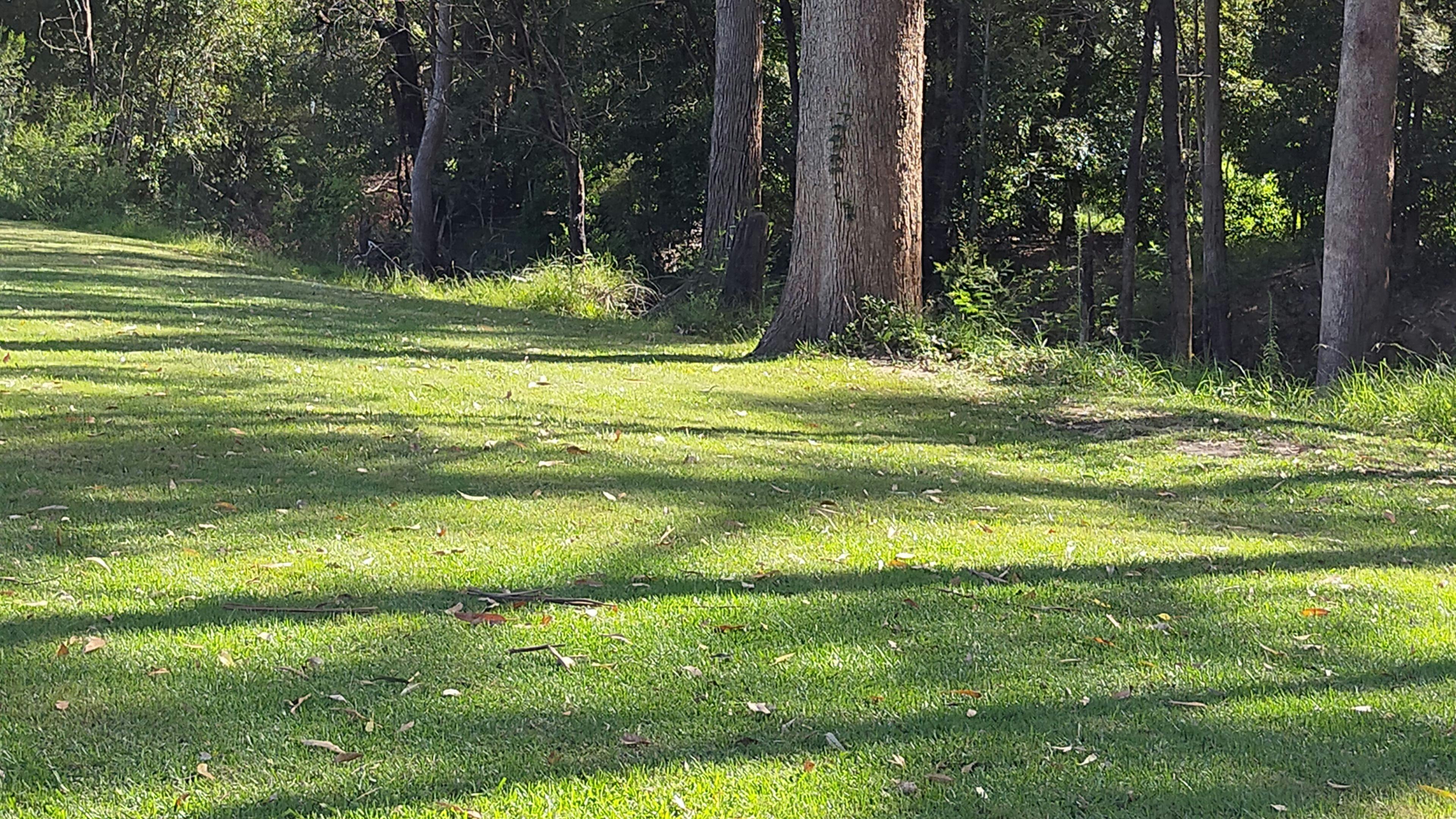 Country Camping on the Coast