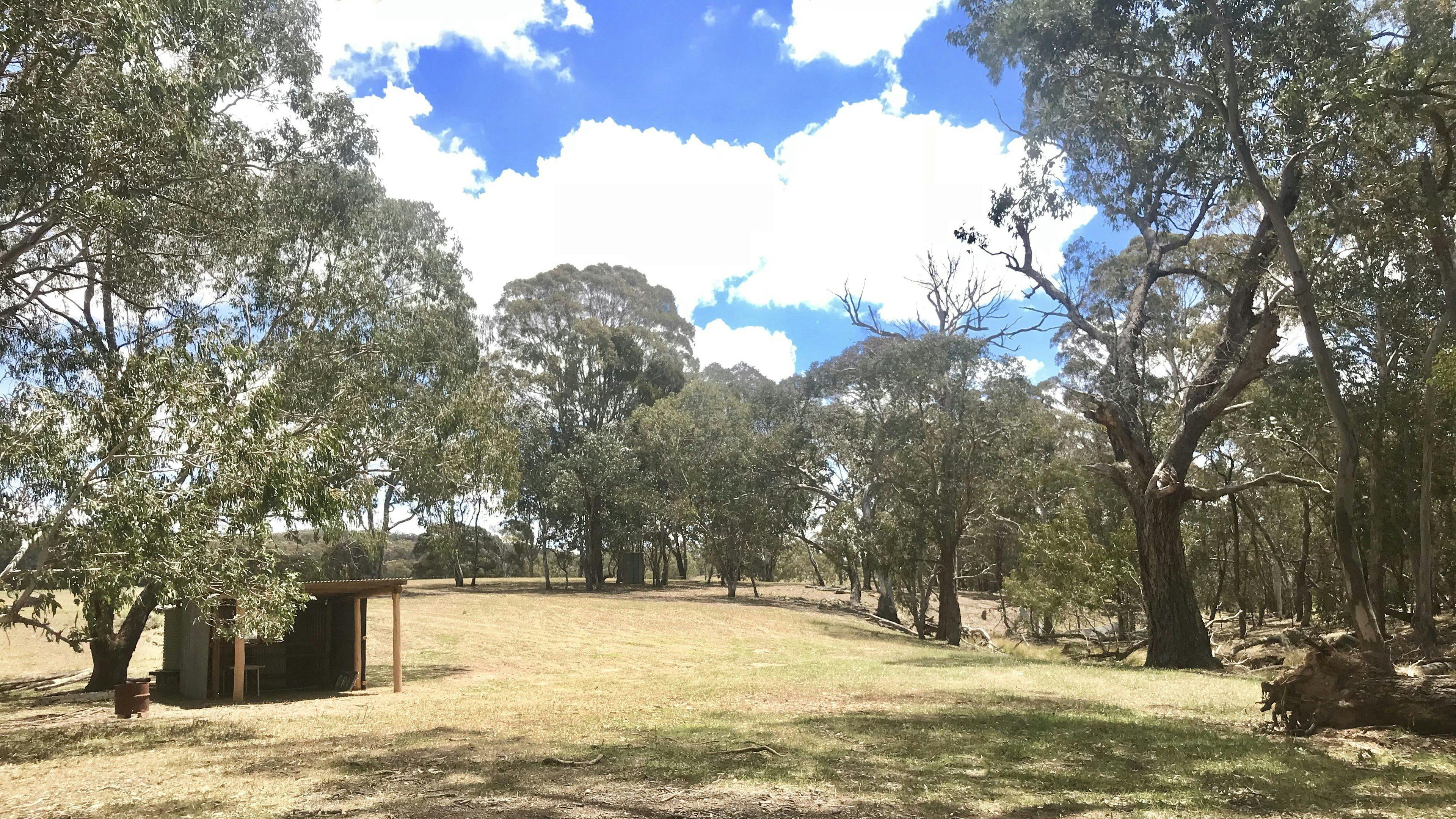 Country Journey, Boxgrove farm