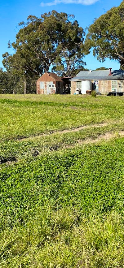 Country Journey, Boxgrove farm