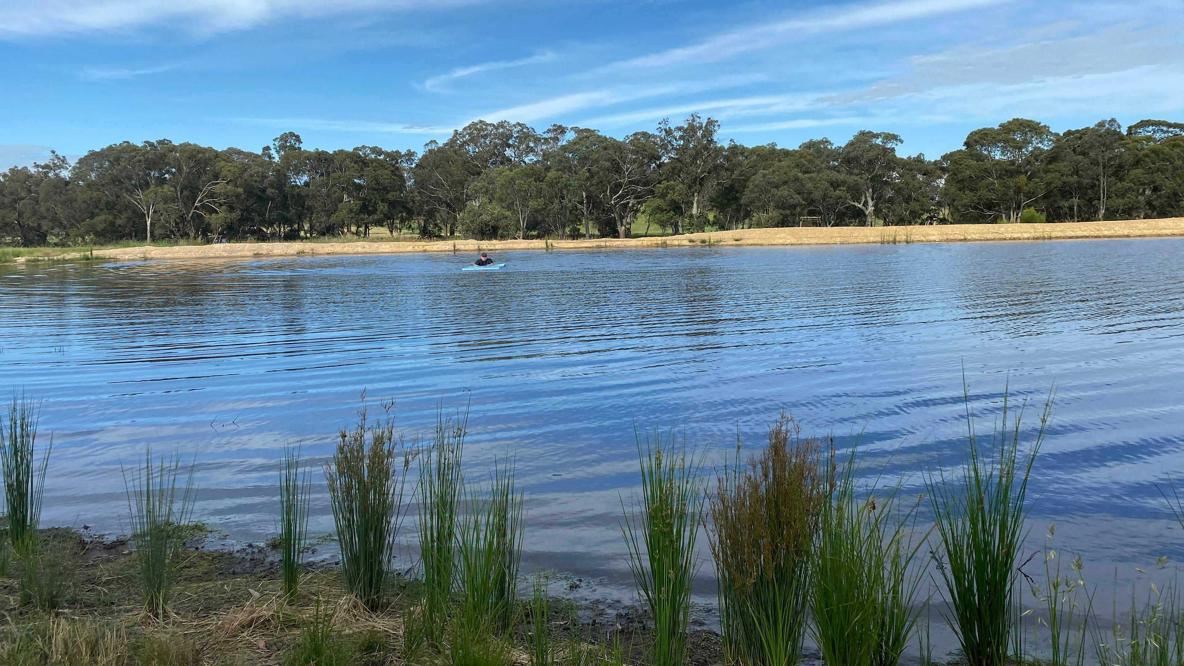 Country Journey, Boxgrove farm
