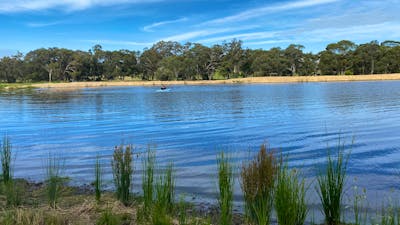 Country Journey, Boxgrove farm