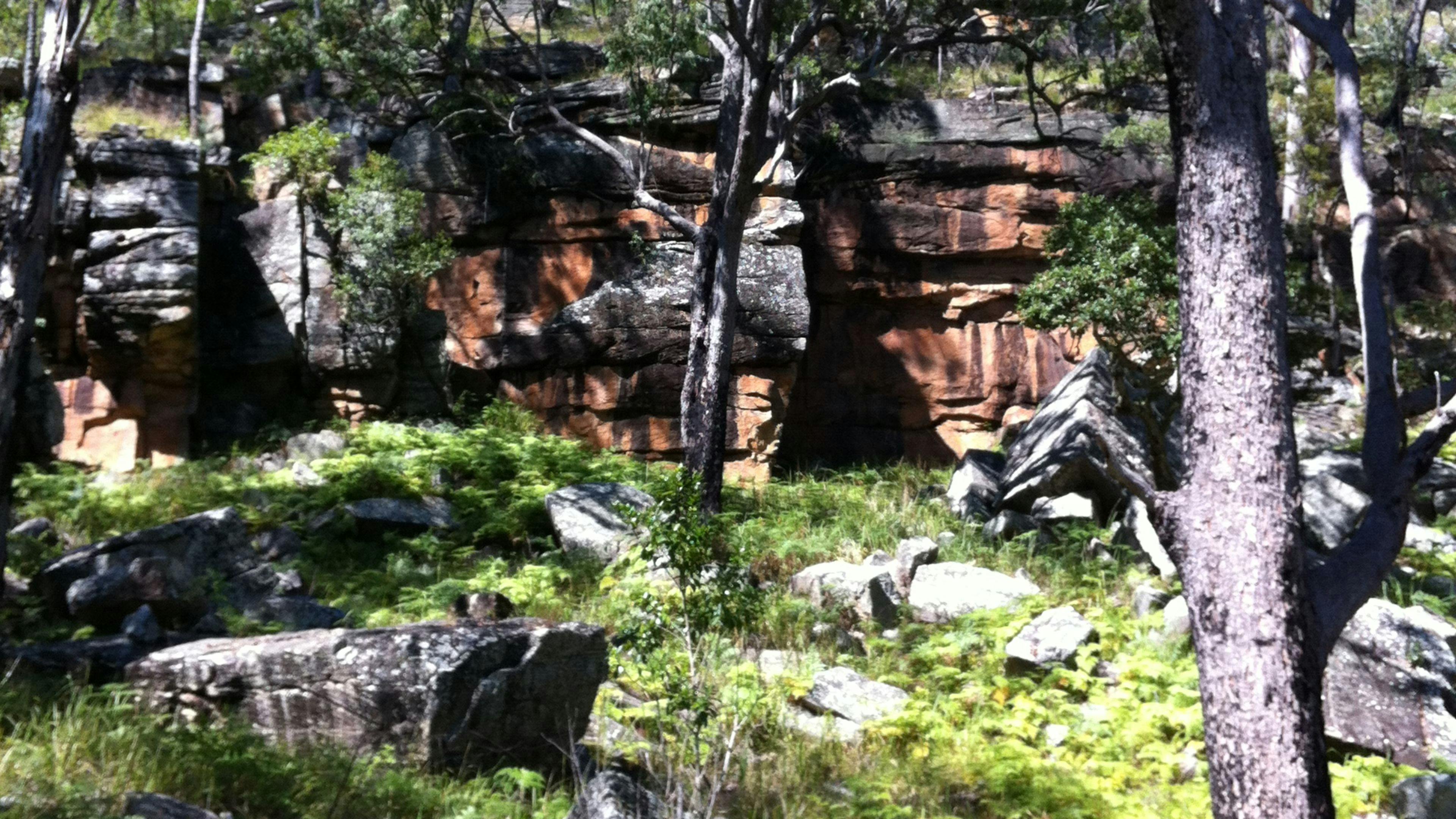 Coutts Crossing Camp NSW Holidays & Things to Do