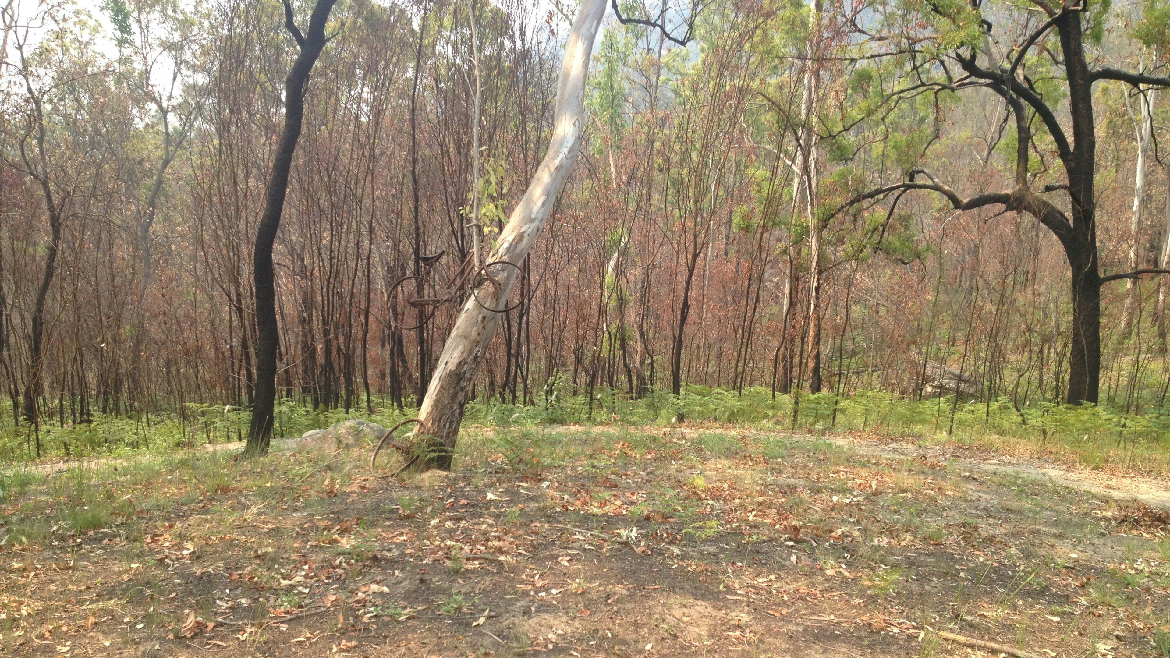Coutts Crossing Camp NSW Holidays & Things to Do