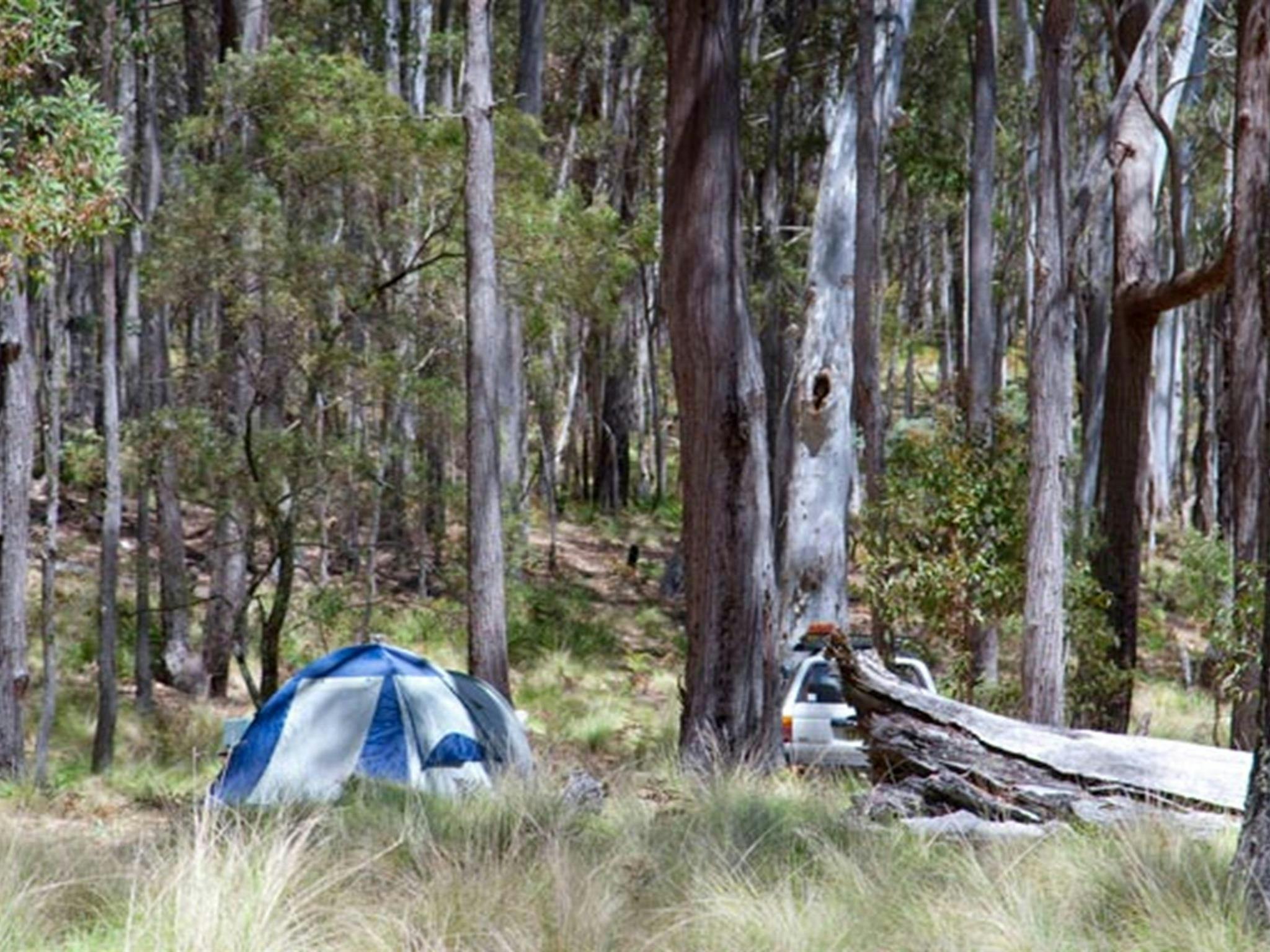 Don't mind a short walk to tent