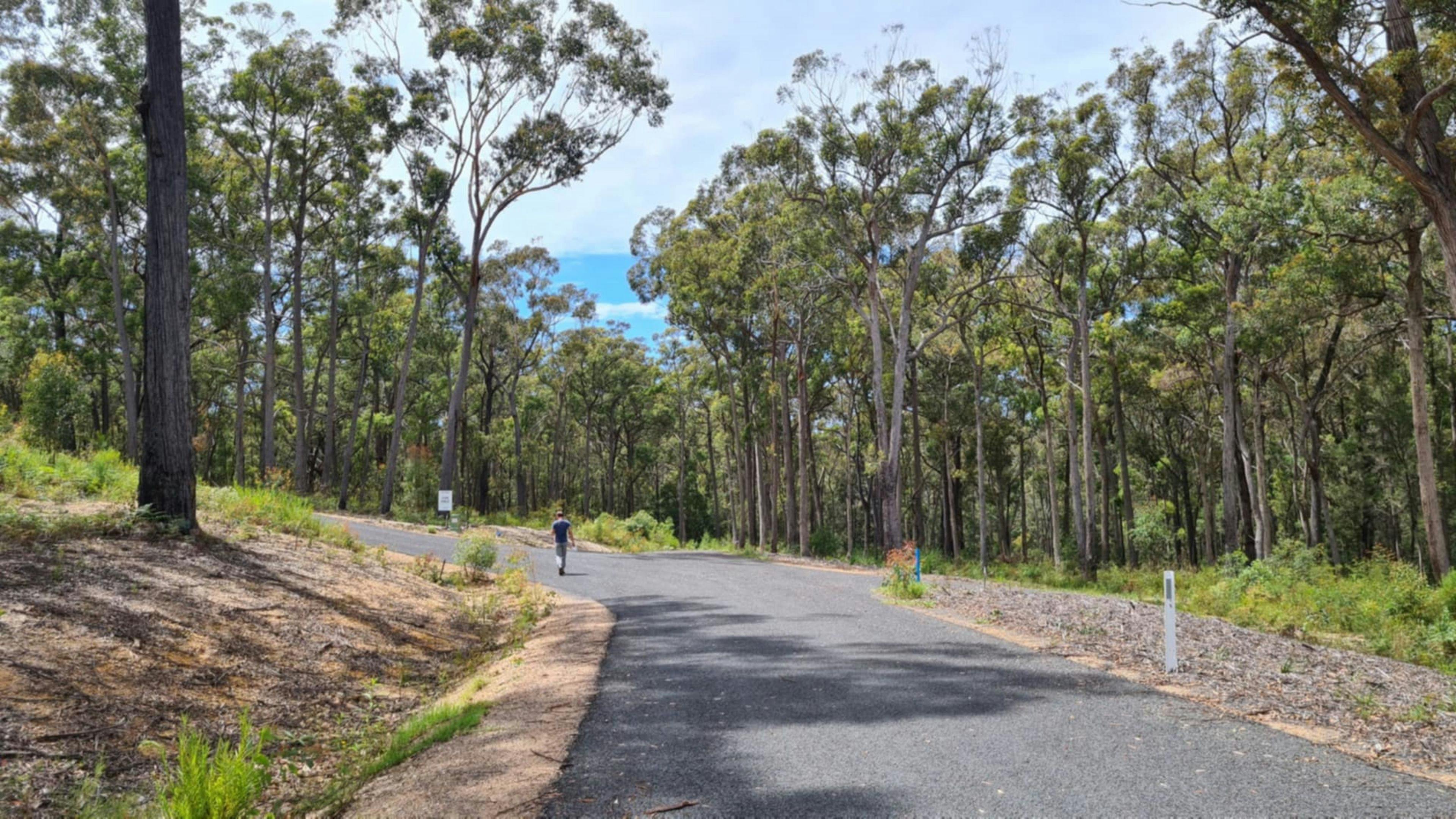 Silvertop Ash Bush Block