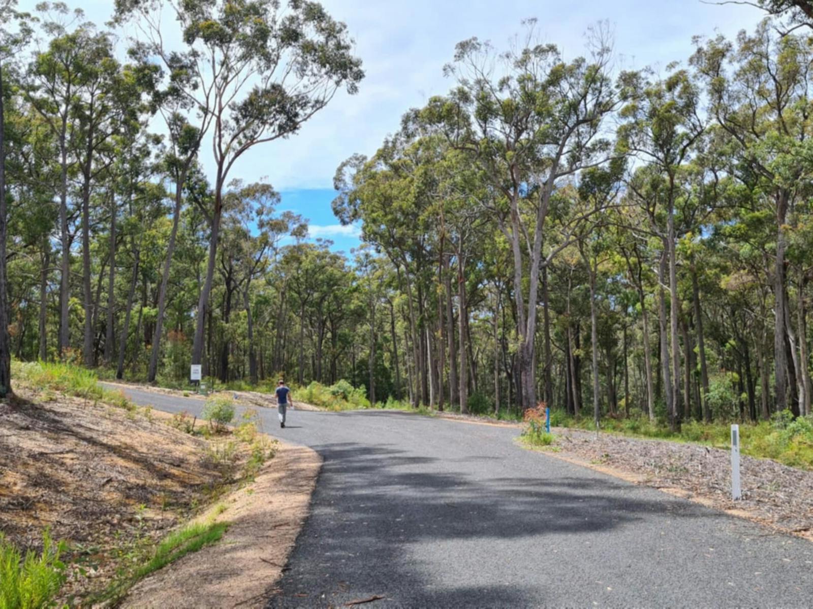 Silvertop Ash Bush Block | NSW Holidays & Accommodation, Things to Do ...