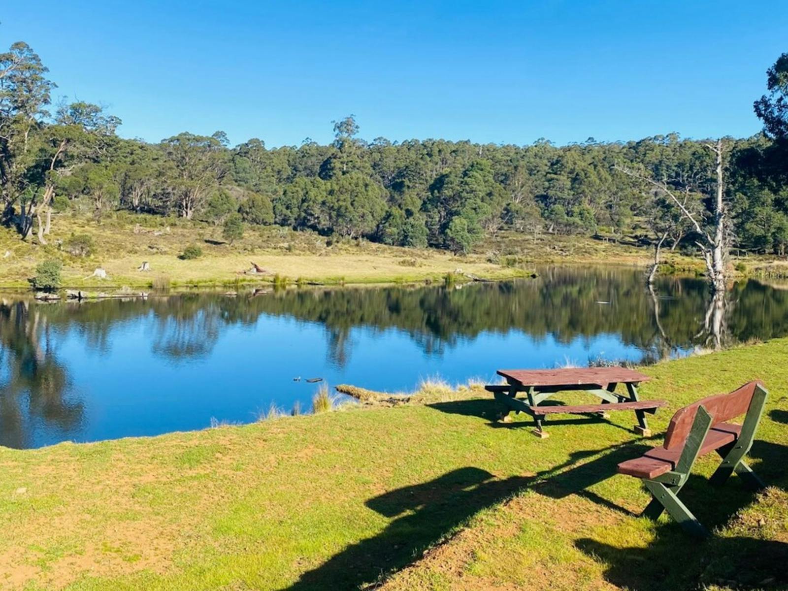 Cradle Mountain Fishery and Camping