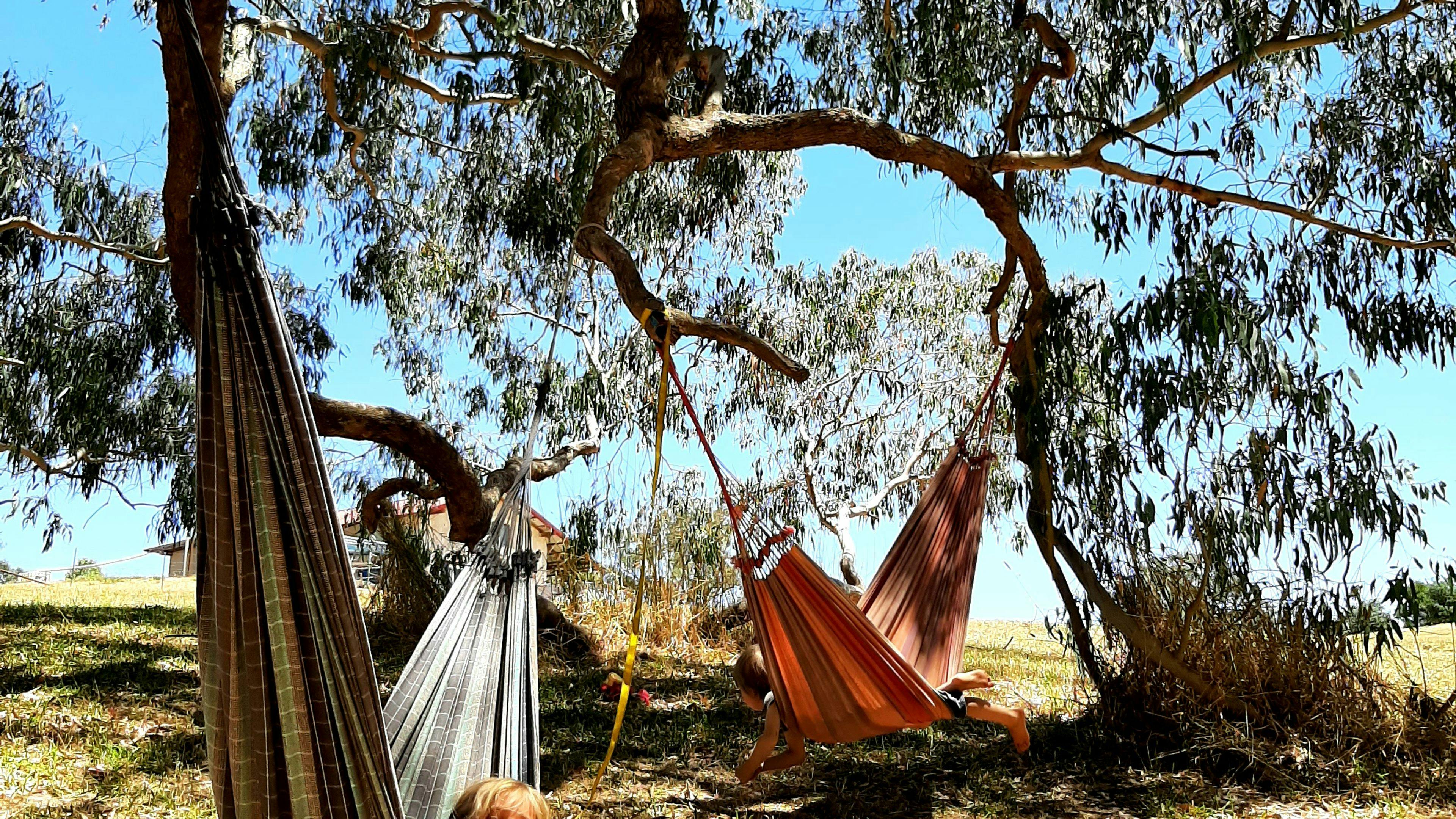 Creal's Rest