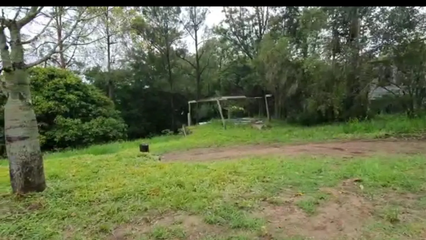 Creek and Tree Bliss
