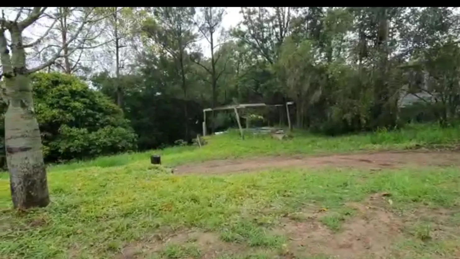 Creek and Tree Bliss