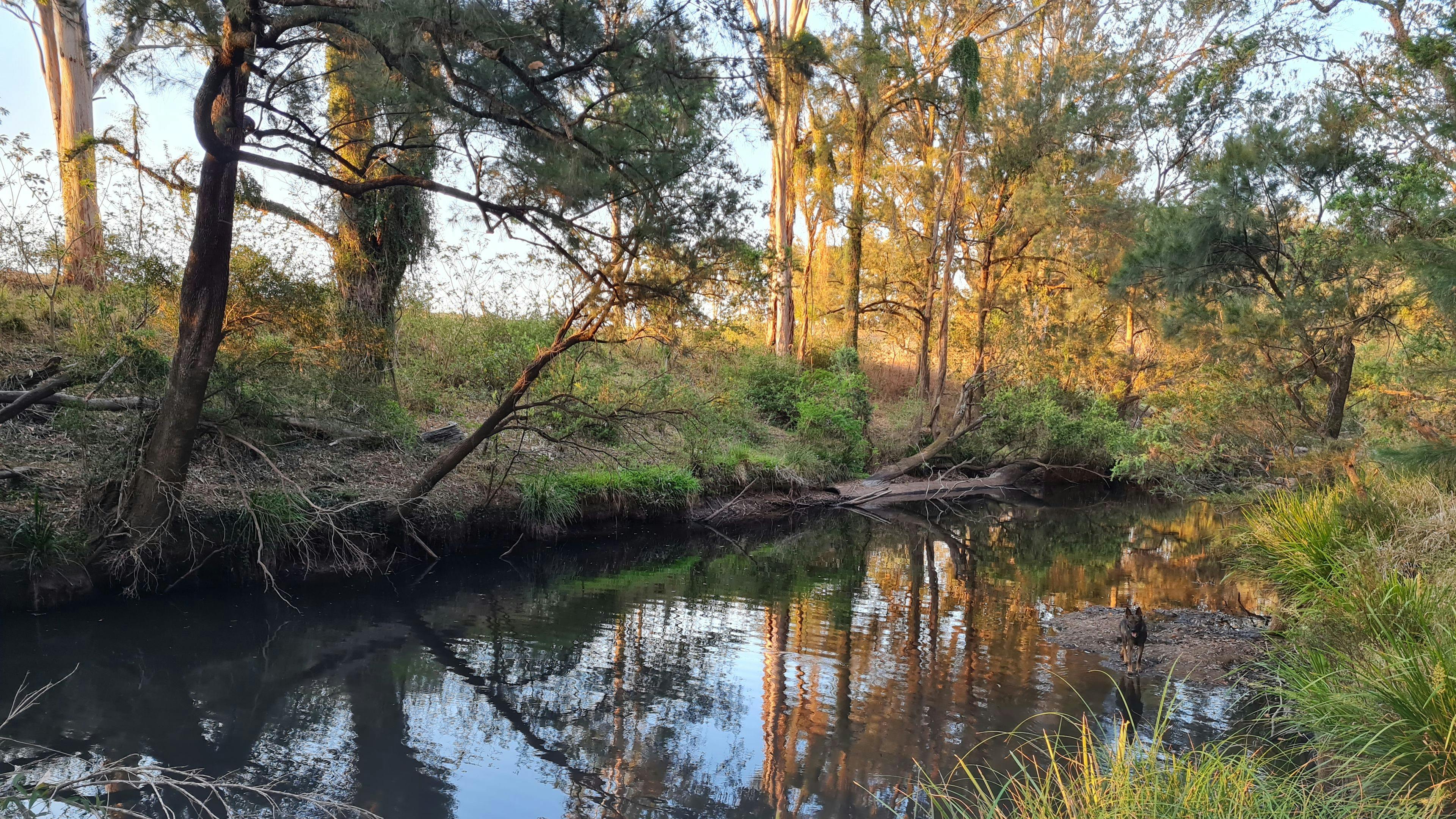 Creek camping at Dryland