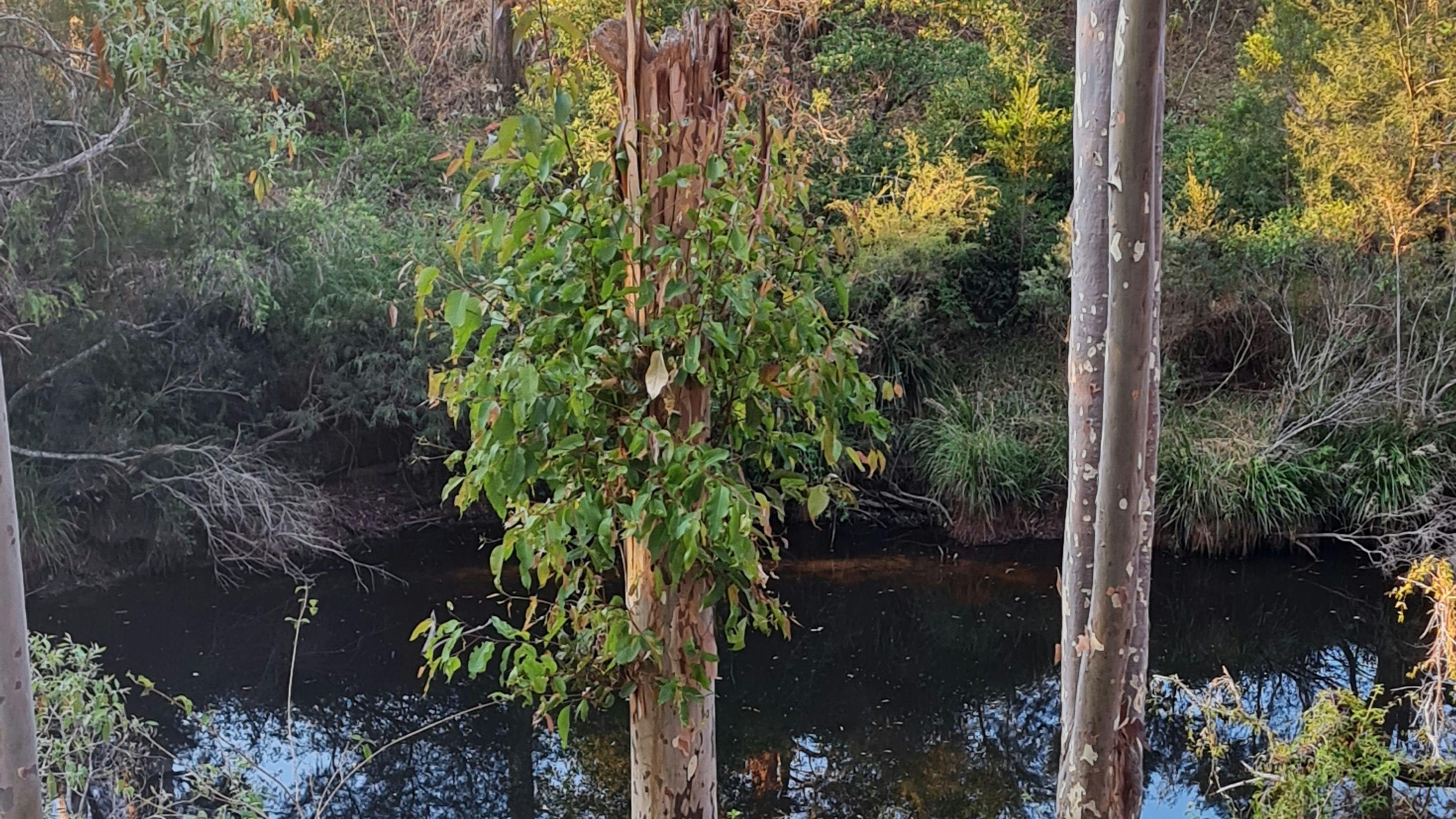 All within a 300m walk from camp