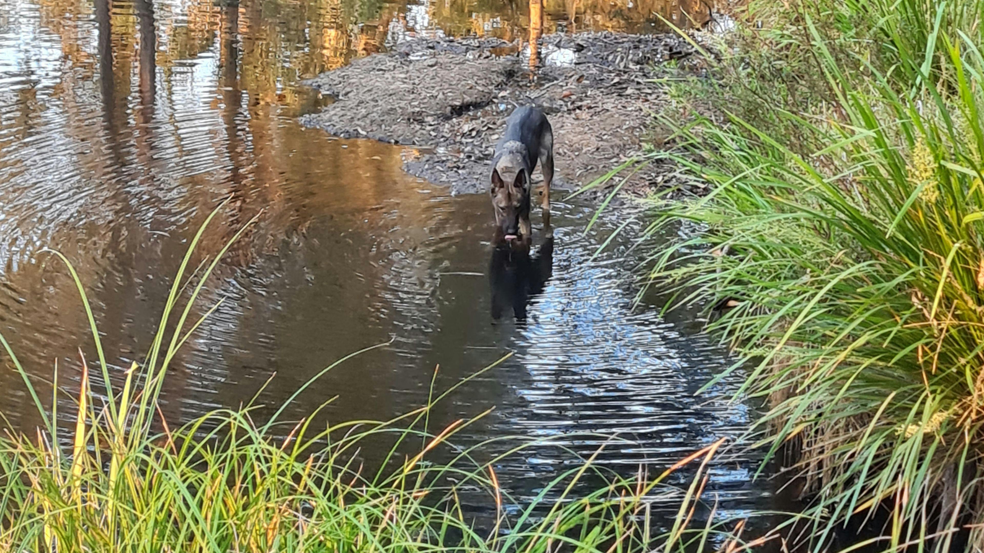 All within a 300m walk from camp