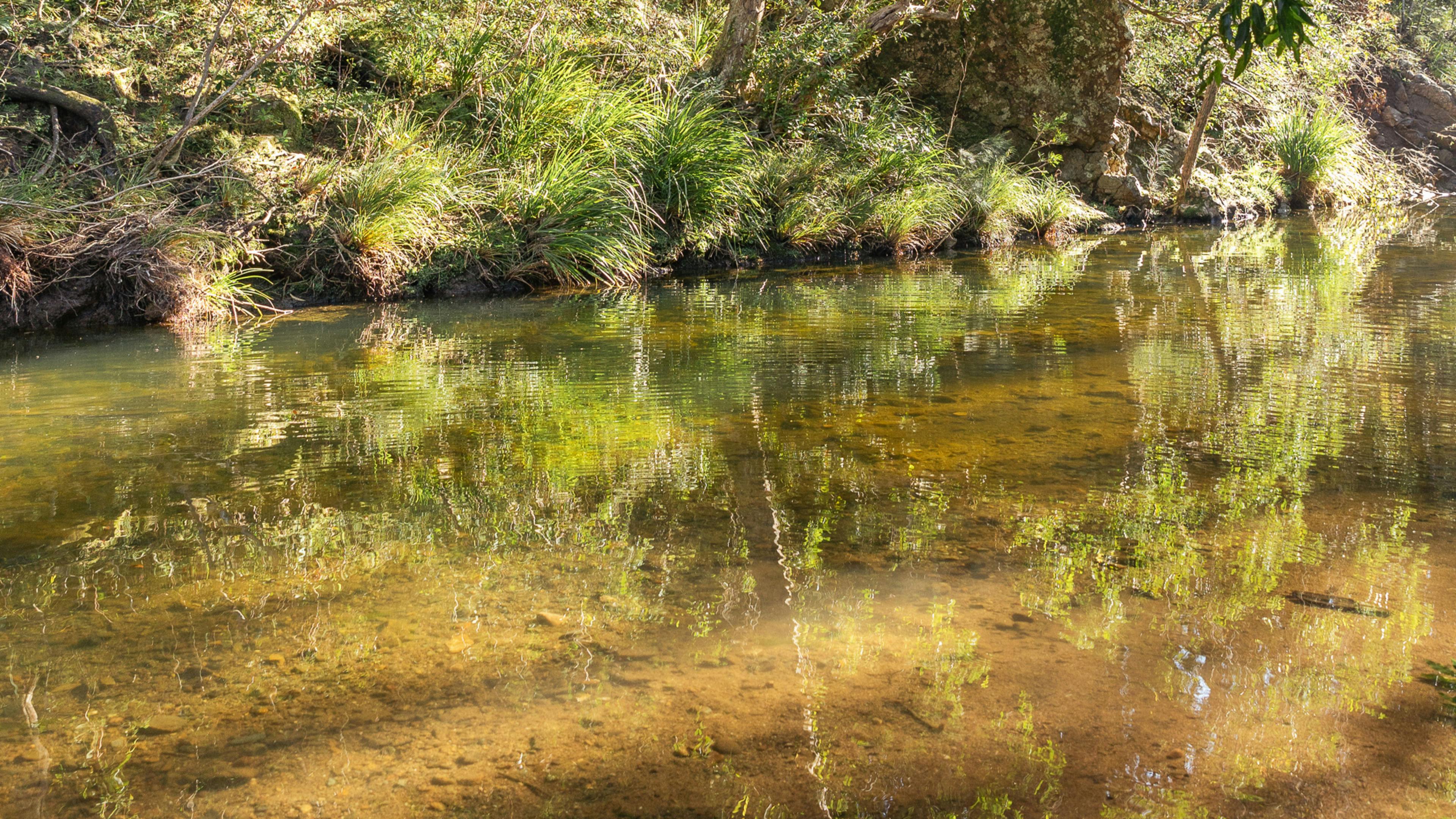 Creek View Place
