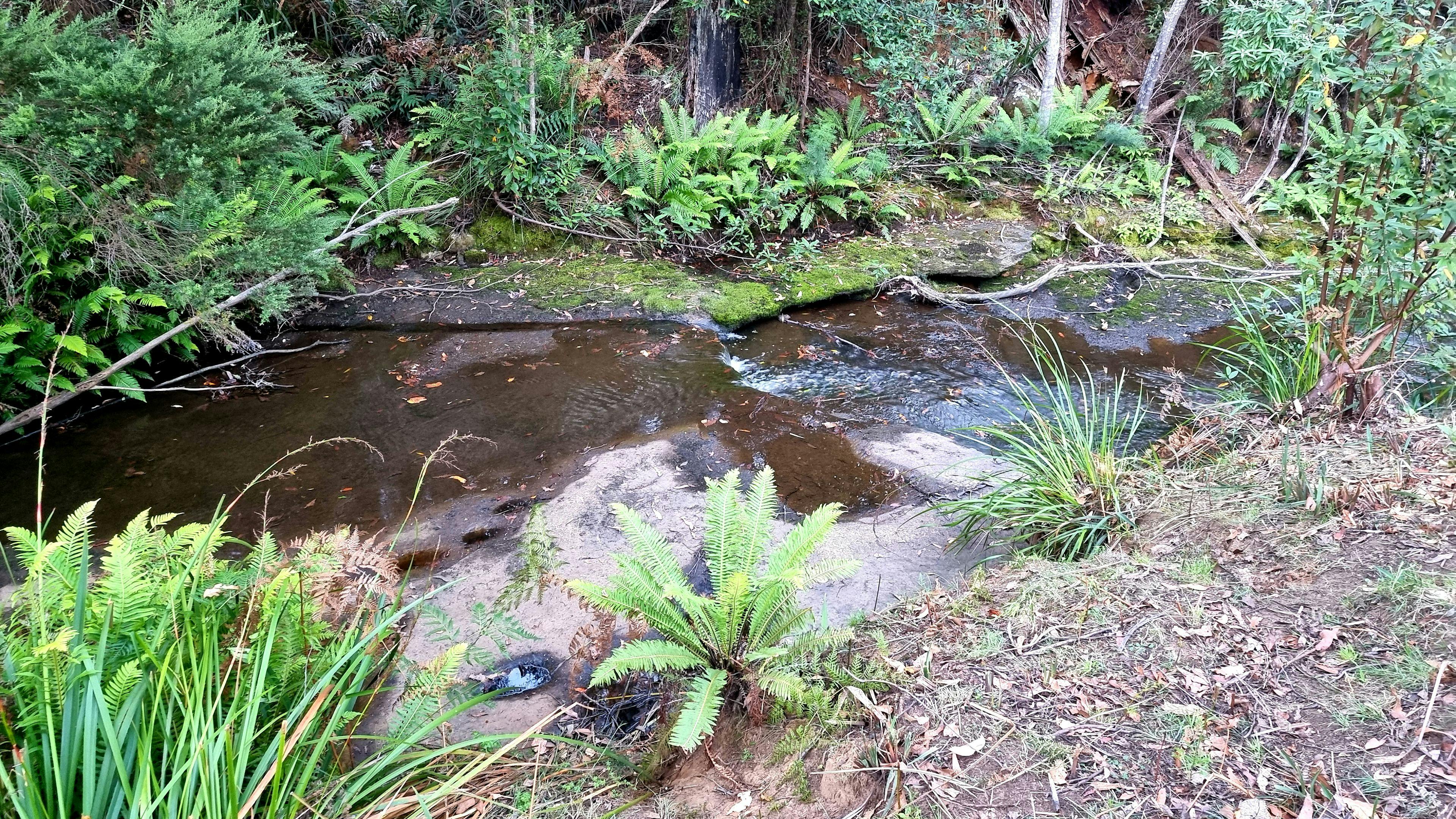 Creekside Camp