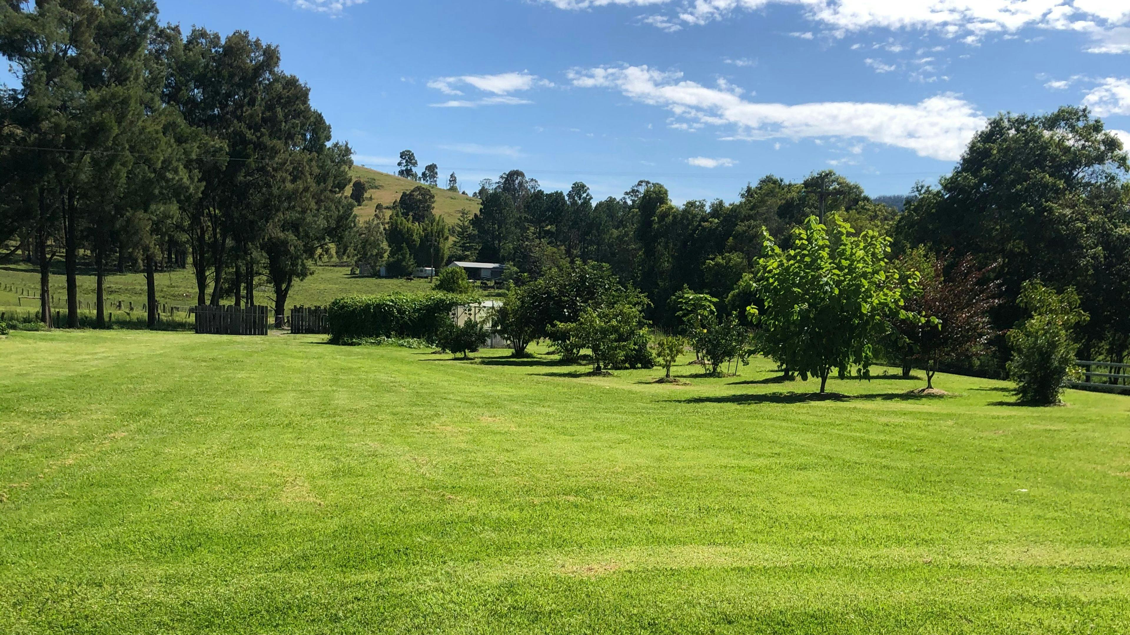 Critterland - Cabin & Camping