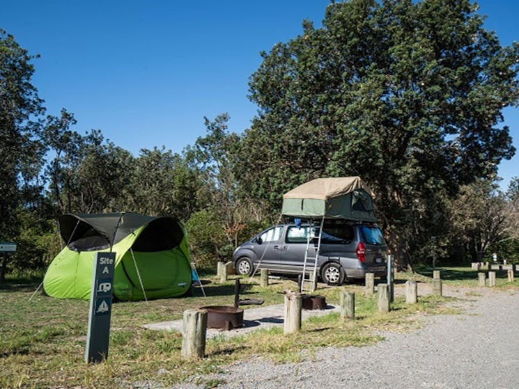 A tent and rooftop tent pitched at a campsite in Crowdy Gap campground, Crowdy Bay National Park.