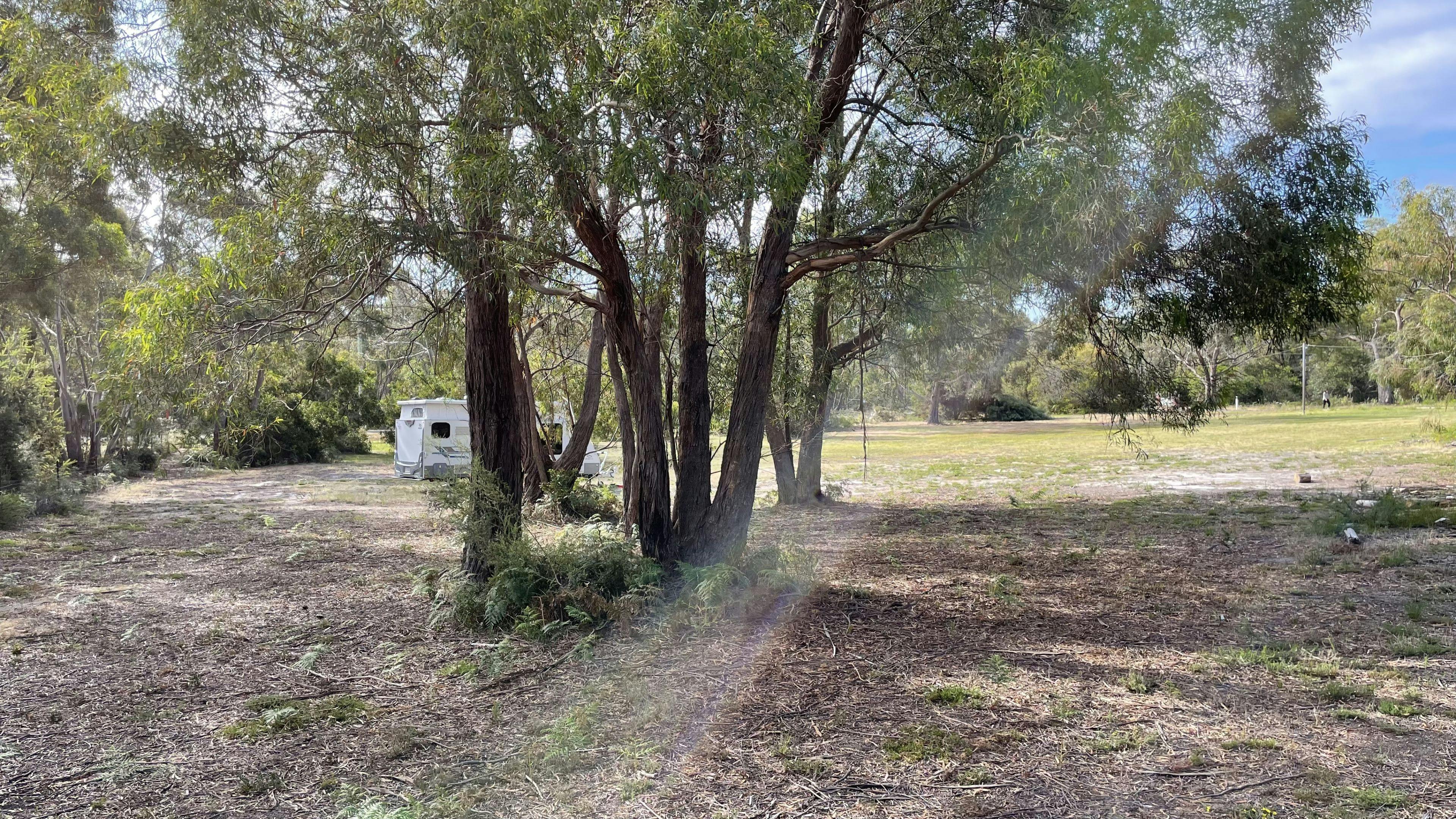 Sandford Views Camping Discover Tasmania