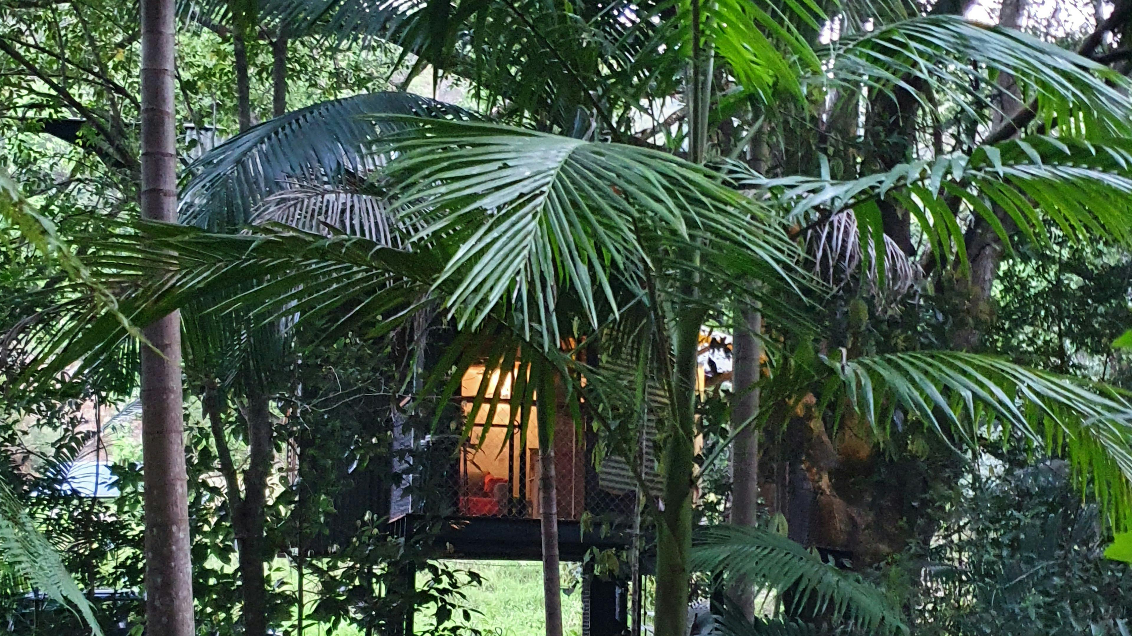 Crystal Creek Rainforest Treehouse