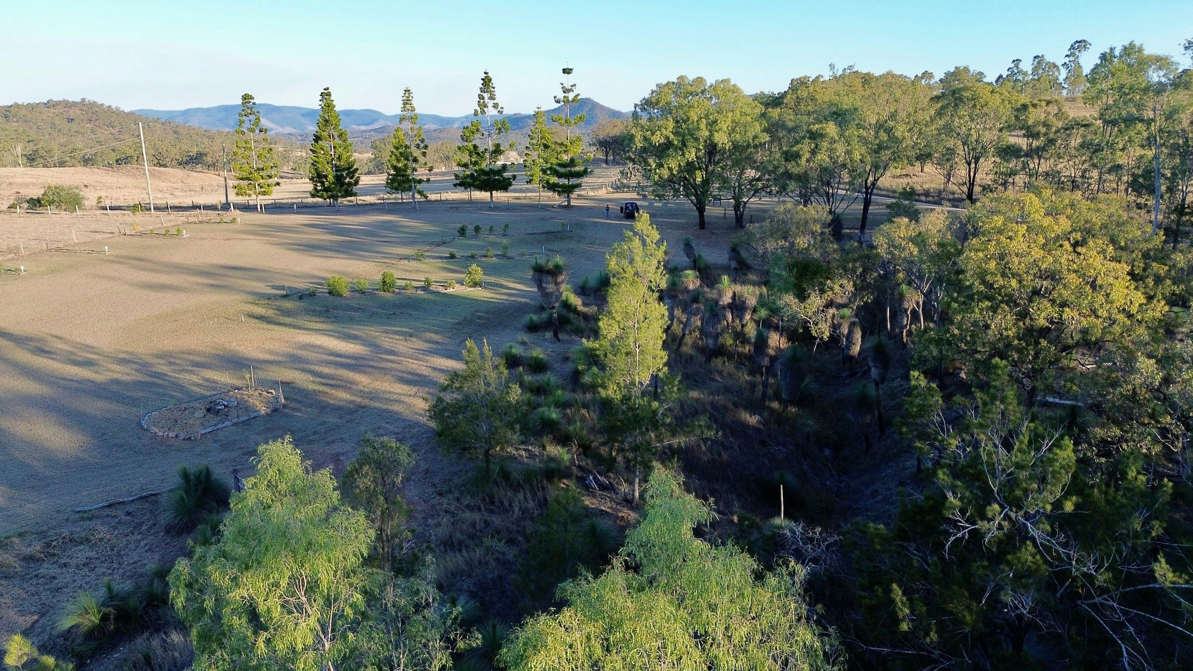 Grass Tree Camp
