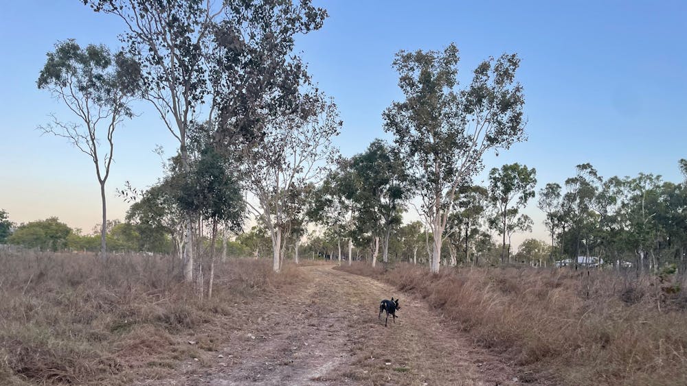 Cuddle Creek Homestead