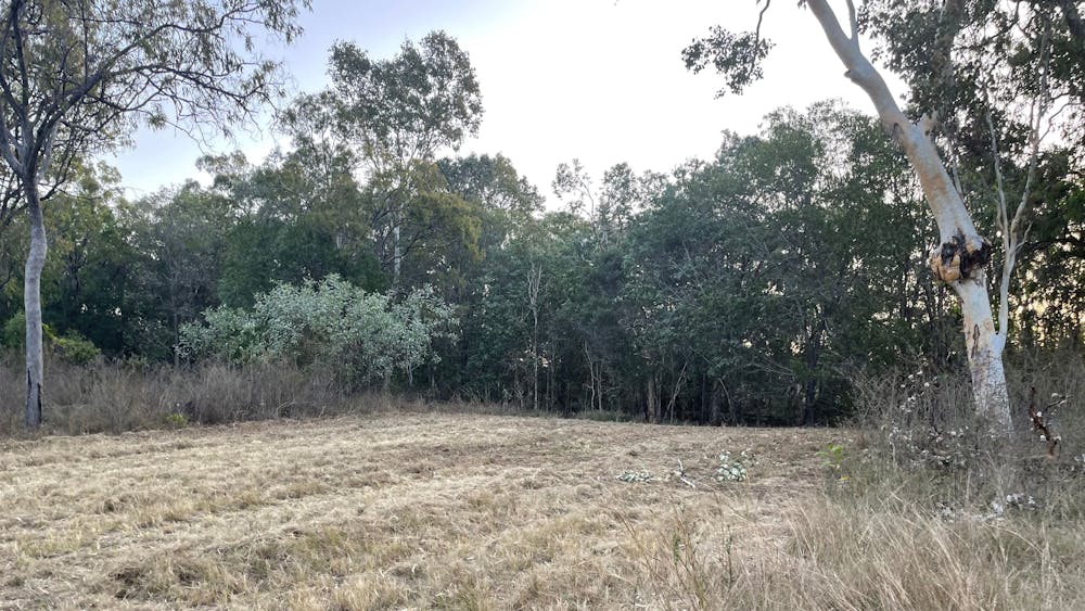 Cuddle Creek Homestead