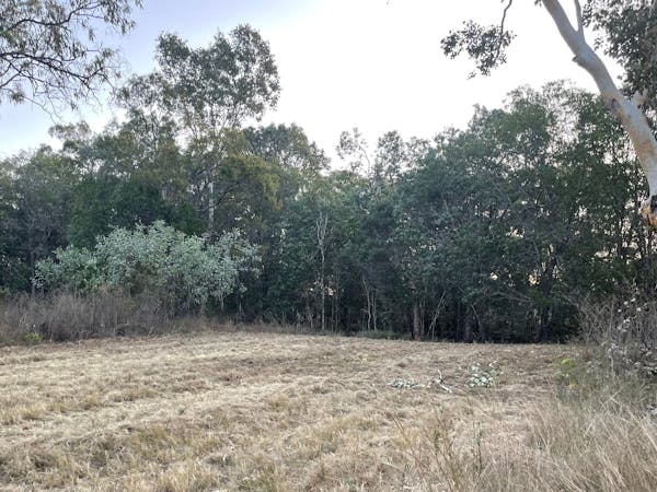 Cuddle Creek Homestead