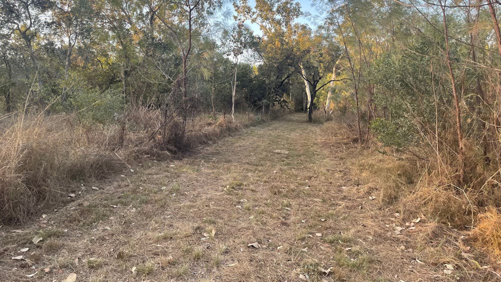 Cuddle Creek Homestead