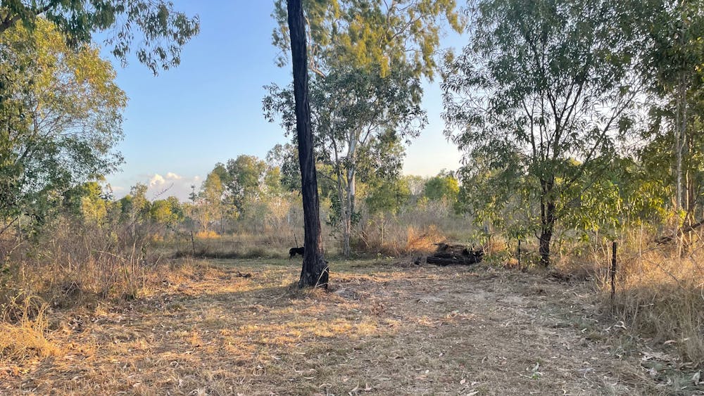 Cuddle Creek Homestead