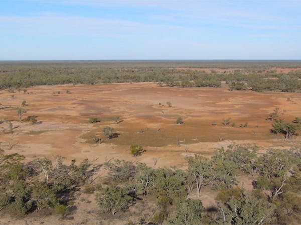 Culgoa National Park