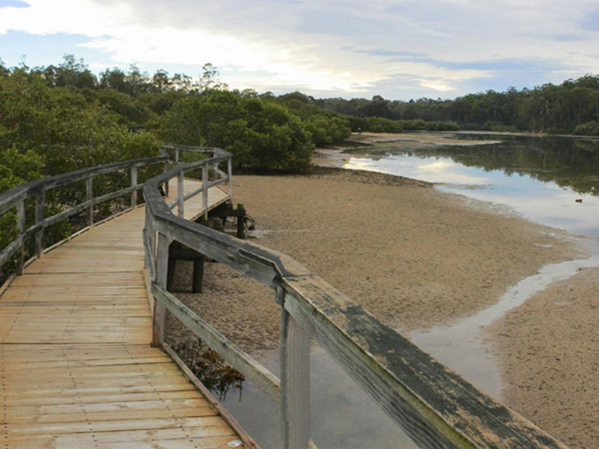 Boardwalk, Cullendulla Creek Nature Reserve. Photo: Matthew Makeham/OEH