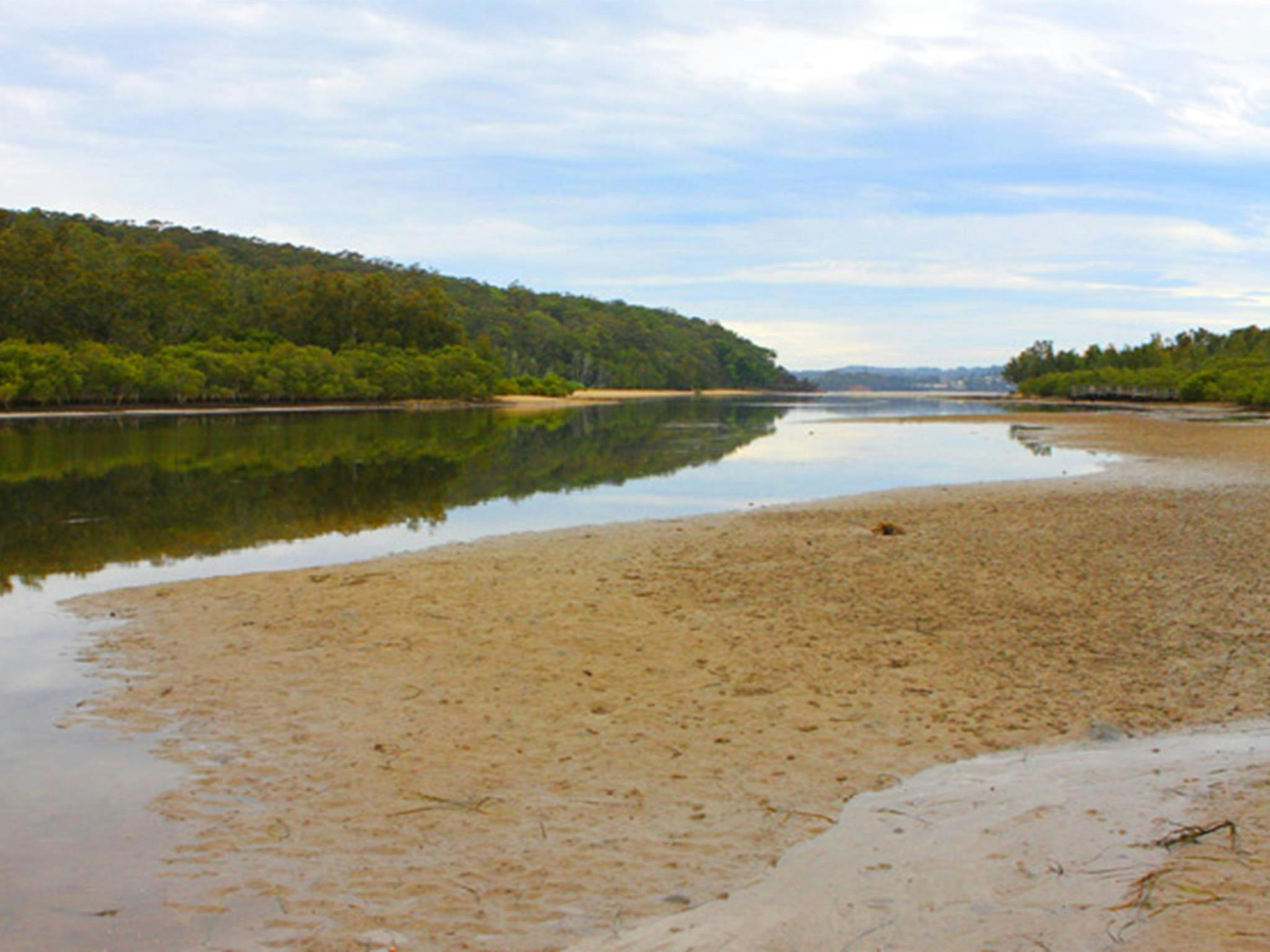 Mangrove walk, Cullendulla Creek Nature Reserve. Photo: Matthew Makeham/OEH